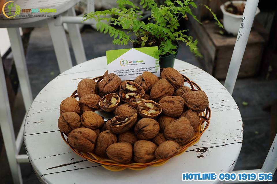 Công ty CPTM – DV Nam Thắng Travel Pro