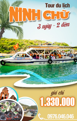 Công ty CPTM – DV Nam Thắng Travel Pro