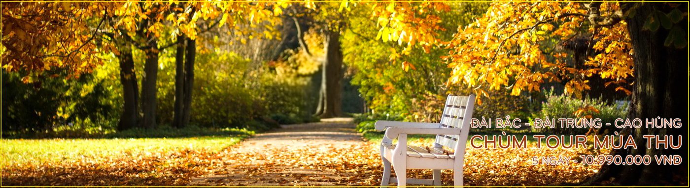 Công ty CPTM – DV Nam Thắng Travel Pro