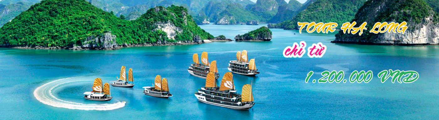 Công ty CPTM – DV Nam Thắng Travel Pro