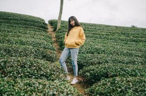 Công ty CPTM – DV Nam Thắng Travel Pro