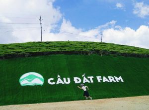 Công ty CPTM – DV Nam Thắng Travel Pro