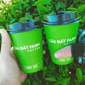 Công ty CPTM – DV Nam Thắng Travel Pro