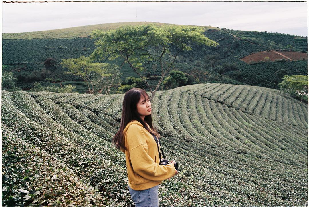 Công ty CPTM – DV Nam Thắng Travel Pro