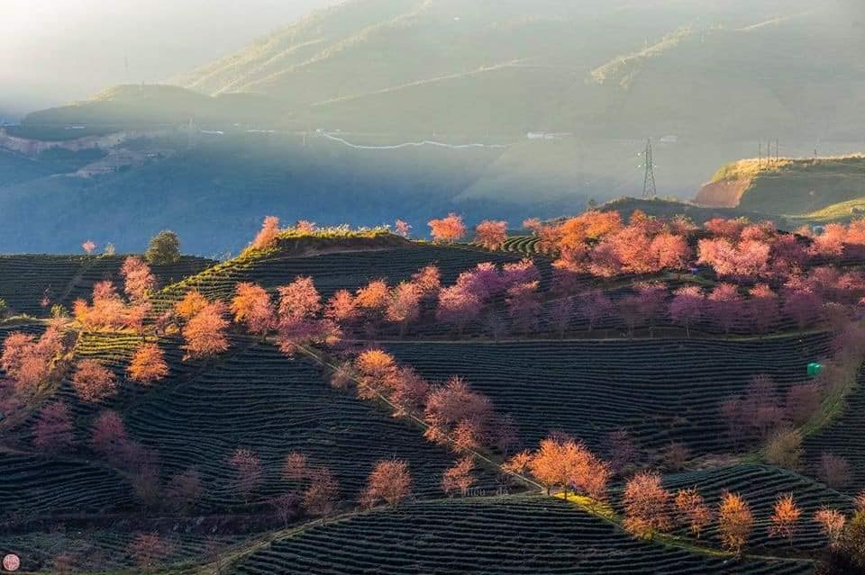 Công ty CPTM – DV Nam Thắng Travel Pro