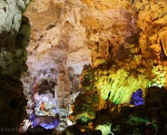 Công ty CPTM – DV Nam Thắng Travel Pro