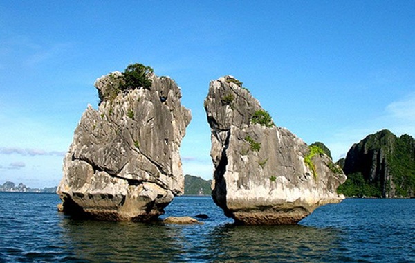 Công ty CPTM – DV Nam Thắng Travel Pro