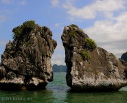 Công ty CPTM – DV Nam Thắng Travel Pro