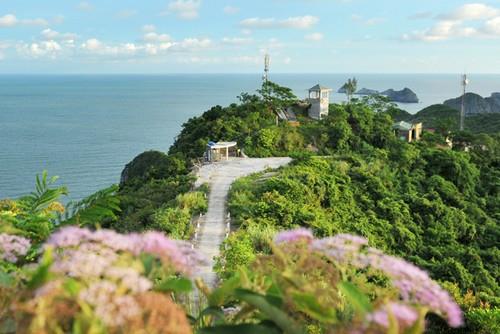 Công ty CPTM – DV Nam Thắng Travel Pro