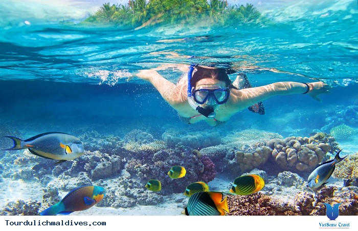 Công ty CPTM – DV Nam Thắng Travel Pro