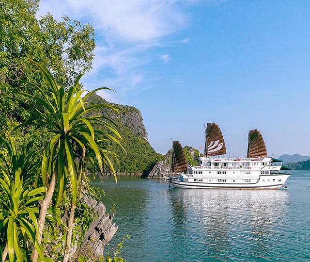 Công ty CPTM – DV Nam Thắng Travel Pro