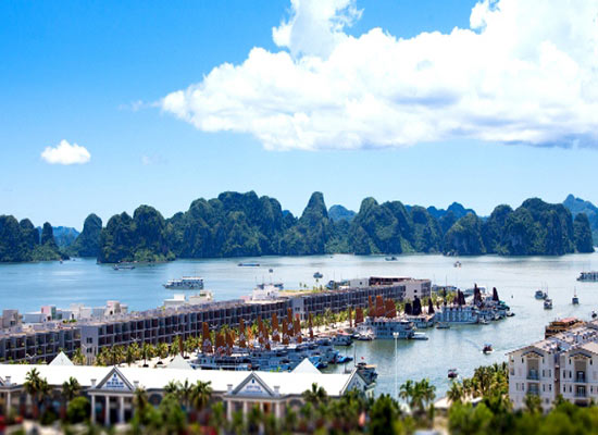 Công ty CPTM – DV Nam Thắng Travel Pro