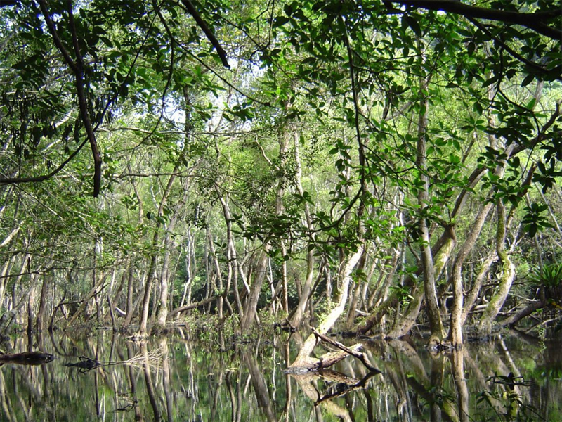 Công ty CPTM – DV Nam Thắng Travel Pro