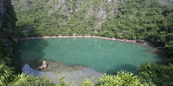 Công ty CPTM – DV Nam Thắng Travel Pro