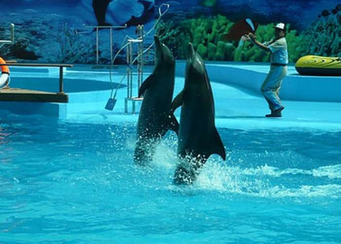 Công ty CPTM – DV Nam Thắng Travel Pro