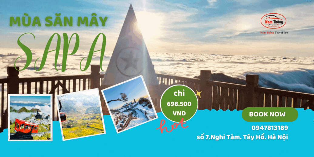 Công ty CPTM – DV Nam Thắng Travel Pro