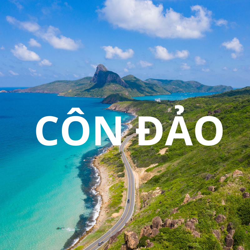 Công ty CPTM – DV Nam Thắng Travel Pro